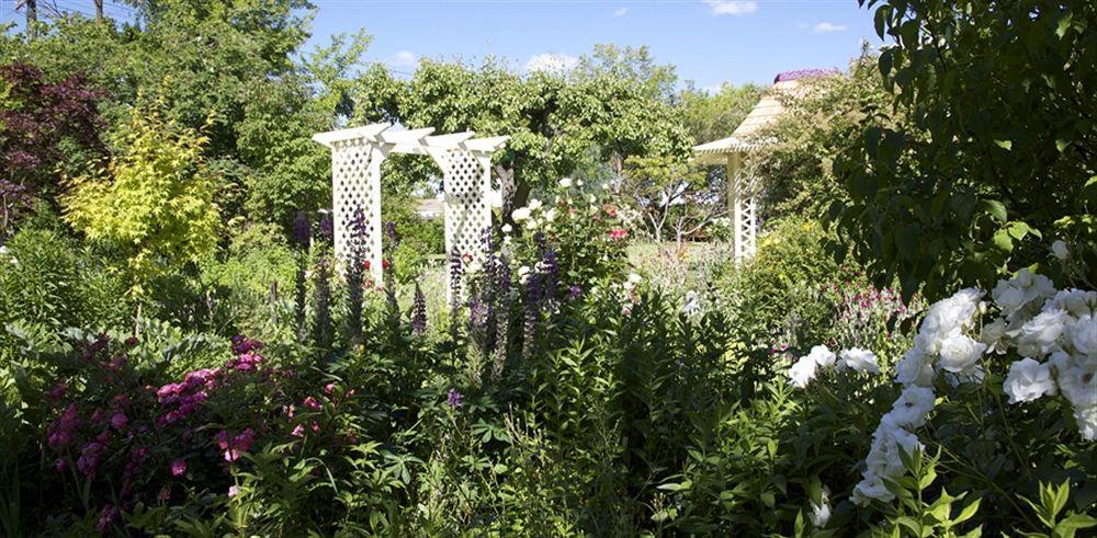 Hartley Homestead Boutique Bed & Breakfast Clyde Exteriér fotografie