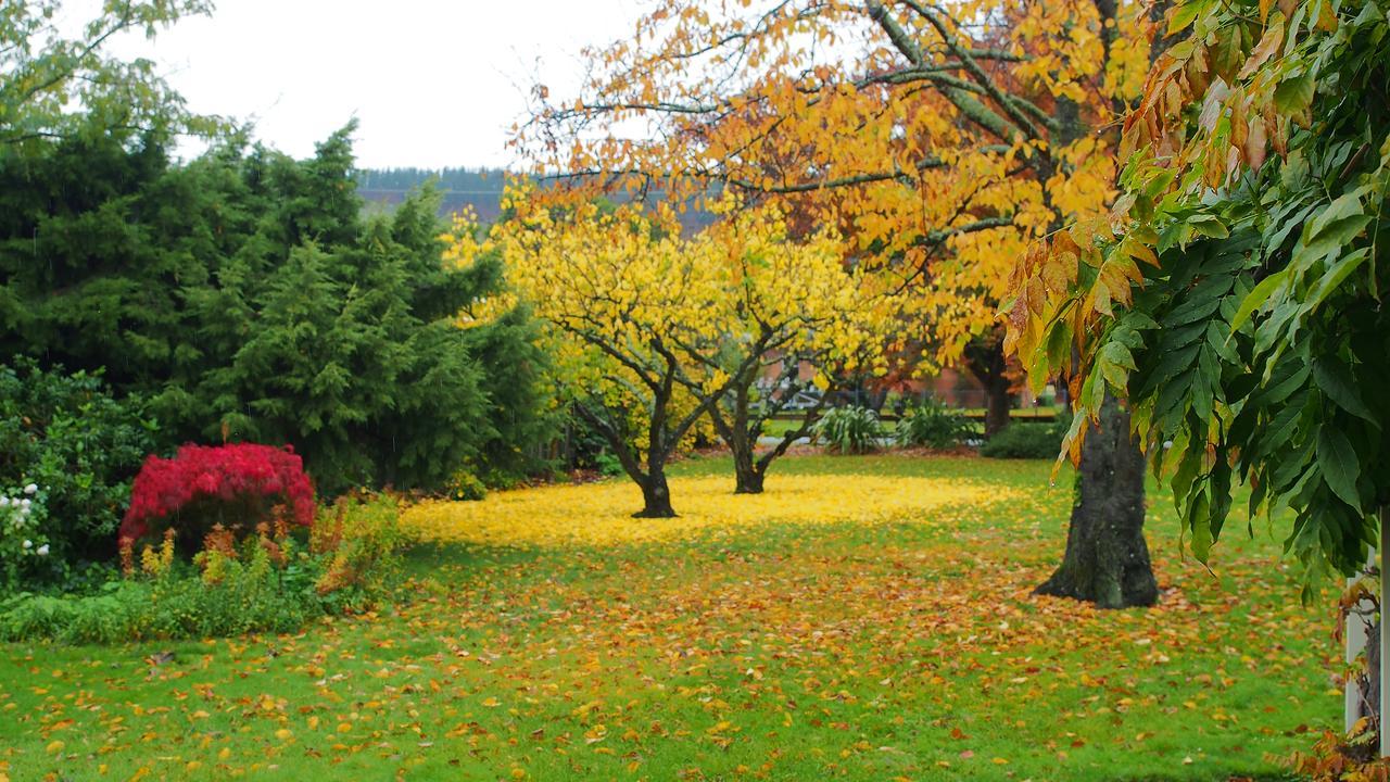 Hartley Homestead Boutique Bed & Breakfast Clyde Exteriér fotografie